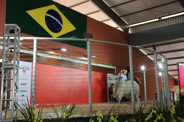 Megaleilão CFM fatura R$ 7,8 milhões