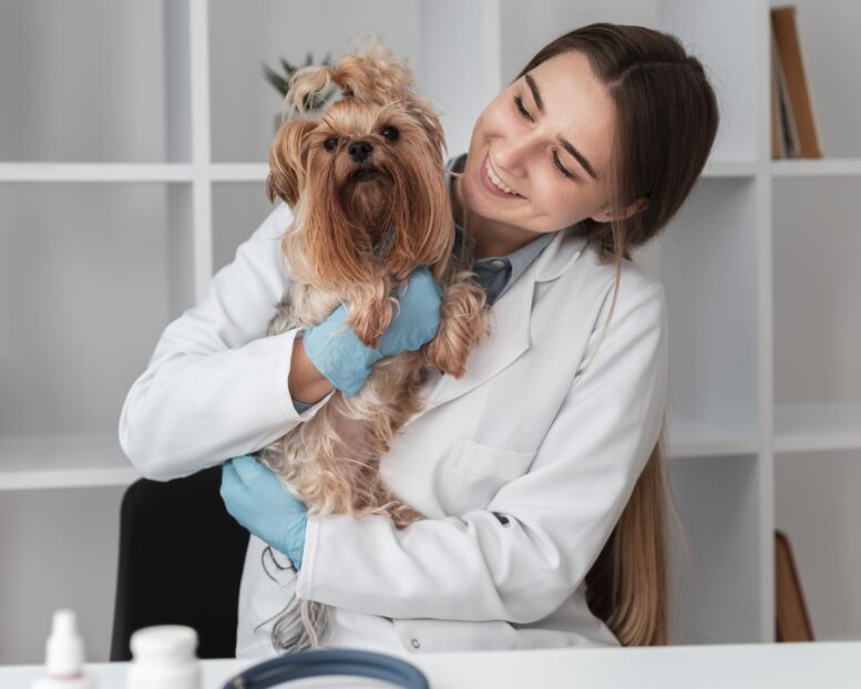 Syntec participa do Reconnect e reforça compromisso com a endocrinologia veterinária