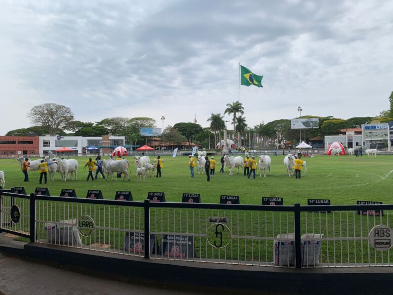 Expoinel 2025 acontece de 13 a 19 de outubro, em Uberaba (MG) Expoinel 2025 acontece de 13 a 19 de outubro, em Uberaba (MG)