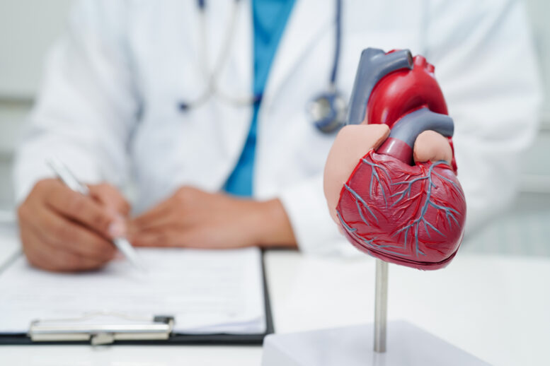 Saúde do coração: hábitos para prevenir doenças cardiovasculares
