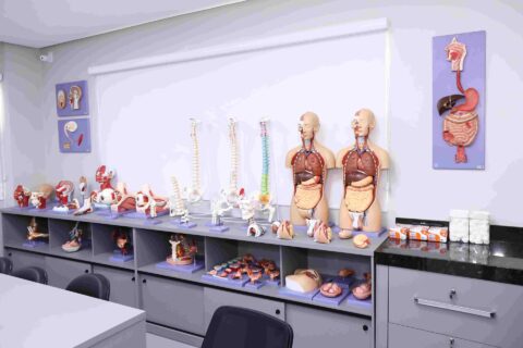 Faculdade Integrado de Macapá oferece 6 bolsas de estudos completas em Medicina Faculdade Integrado de Macapá oferece 6 bolsas de estudos completas em Medicina