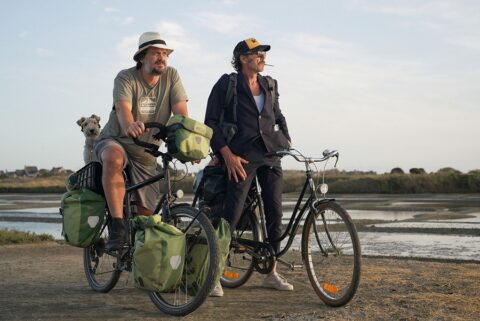 Cineflix tem Black Friday, sessão TEA e Festival de Cinema Francês Cineflix tem Black Friday, sessão TEA e Festival de Cinema Francês