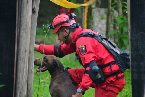 UniCuritiba sedia 1º Simpósio de Bem-estar Animal