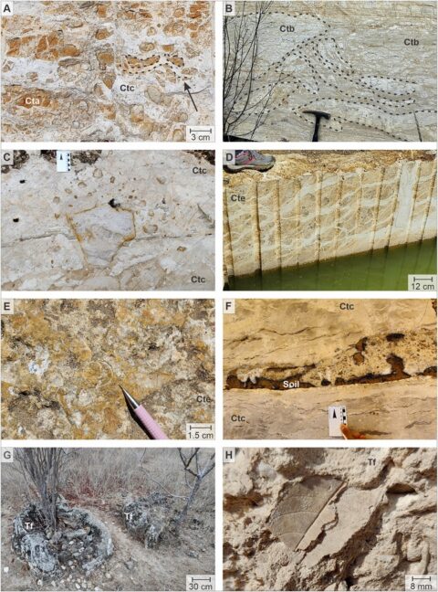 Vestígios de mar pré-Atlântico são descobertos em rocha ornamental popular: o Bege Bahia