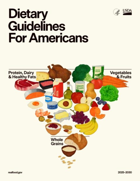 Avanços e controvérsias da nova pirâmide alimentar americana