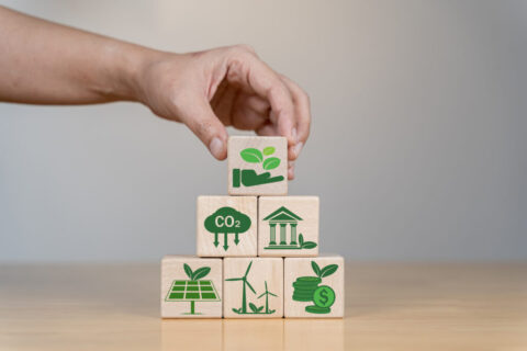 Sustentabilidade como diferencial competitivo para empresas Sustentabilidade como diferencial competitivo para empresas