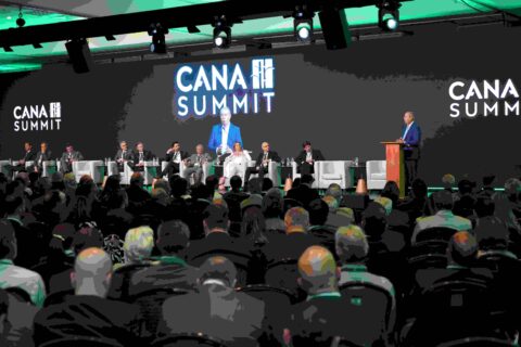Produtor de cana avança com novas estratégias para reduzir custos e ampliar produtividade Produtor de cana avança com novas estratégias para reduzir custos e ampliar produtividade