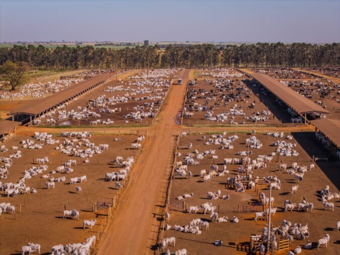 Pesquisa comprova benefícios do bem-estar nutricional em animais confinados