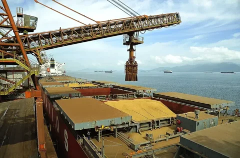Mesmo após período intenso de chuvas, Goiás deve se beneficiar com a exportação de soja nos próximos dias Mesmo após período intenso de chuvas, Goiás deve se beneficiar com a exportação de soja nos próximos dias