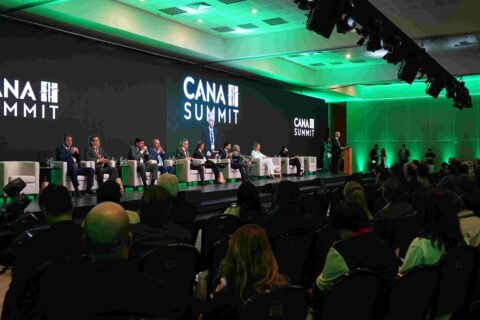 Juros elevados e crédito mais restrito colocam fluxo de investimentos na cana em debate Juros elevados e crédito mais restrito colocam fluxo de investimentos na cana em debate
