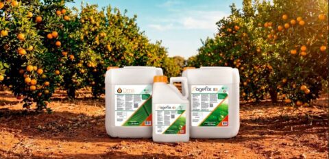 Gulf Agro inicia agenda de eventos do setor com Feibanana e Expocitros