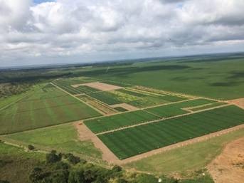 SEEDCORP|HO atualiza portfólio e investe mais em pesquisa para dobrar faturamento em cinco anos