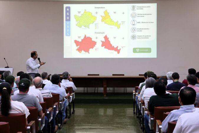 Safra de café mantém bom desempenho, mas El Niño acende alerta para 2027, aponta Fórum Técnico da Cooxupé