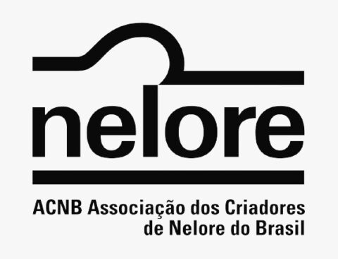 ACNB promove encontro para discutir os critérios de avaliação e a evolução do Ranking da raça Nelore