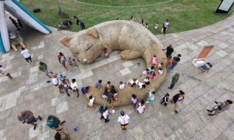 Dia Internacional do Gato: Cobasi participa do GoldeN GatoFest 2026 e oferece descontos de até 50% Dia Internacional do Gato: Cobasi participa do GoldeN GatoFest 2026 e oferece descontos de até 50%