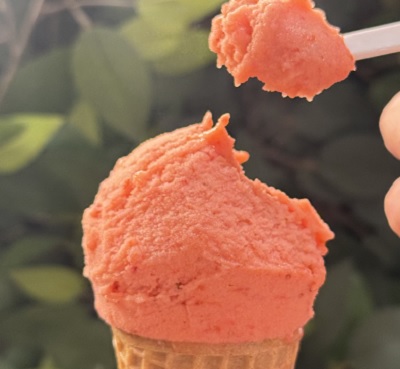 Dia do Sorvete: gelateria no Aurora Shopping vai oferecer 300 cortesias aos clientes