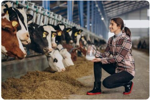 Do resíduo à nutrição: como o aproveitamento do algodão pode gerar novas soluções para o campo